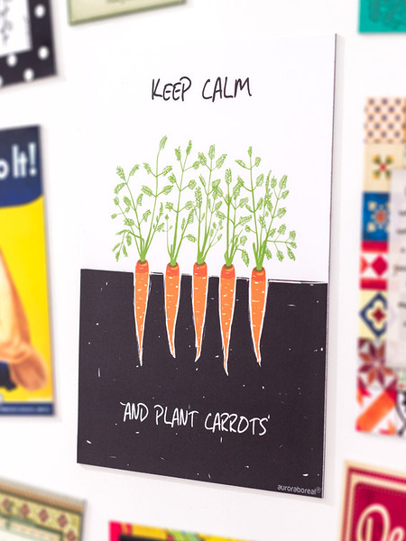Keep Calm and Plant Carrots
